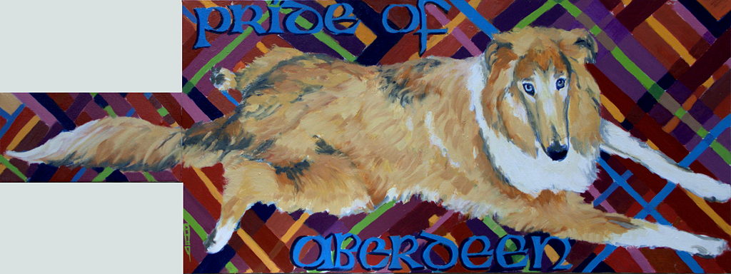 Pride of Aberdeen, 165cm x 60cm